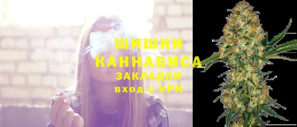 соль ск Арсеньев