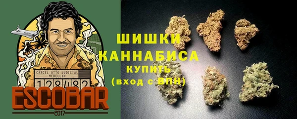 соль ск Арсеньев
