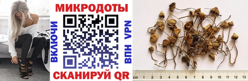Псилоцибиновые грибы MAGIC MUSHROOMS  купить наркотики сайты  Валдай 